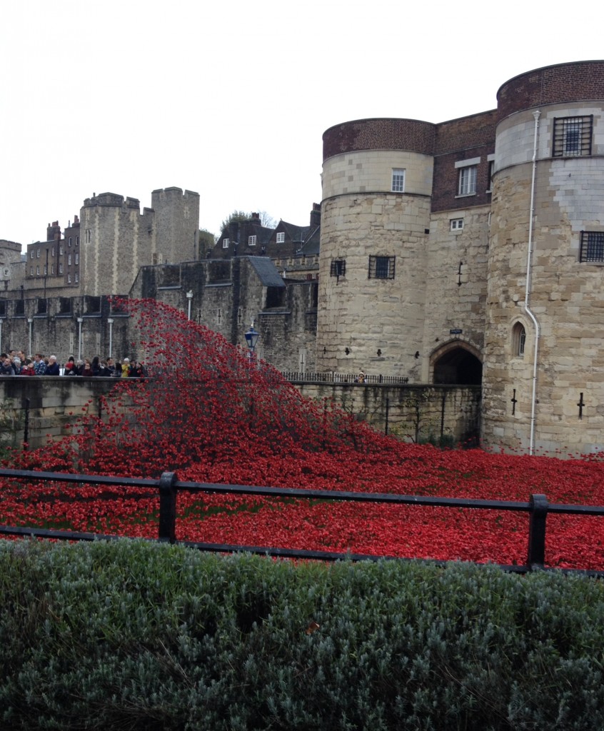 Blood Swept Lands and Seas of Red